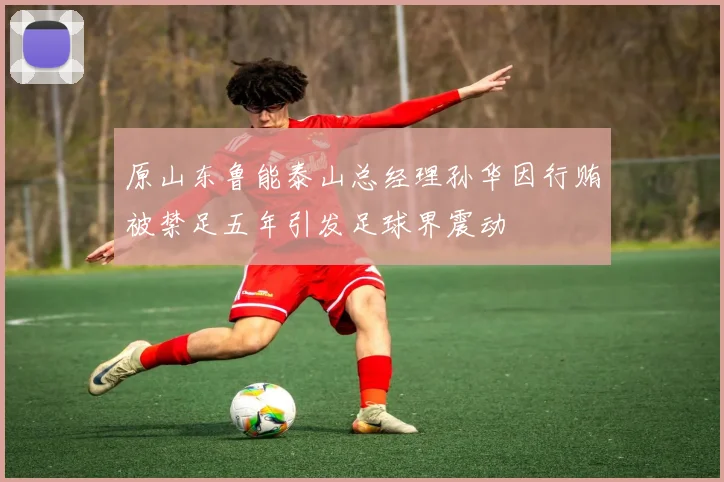 原山东鲁能泰山总经理孙华因行贿被禁足五年引发足球界震动