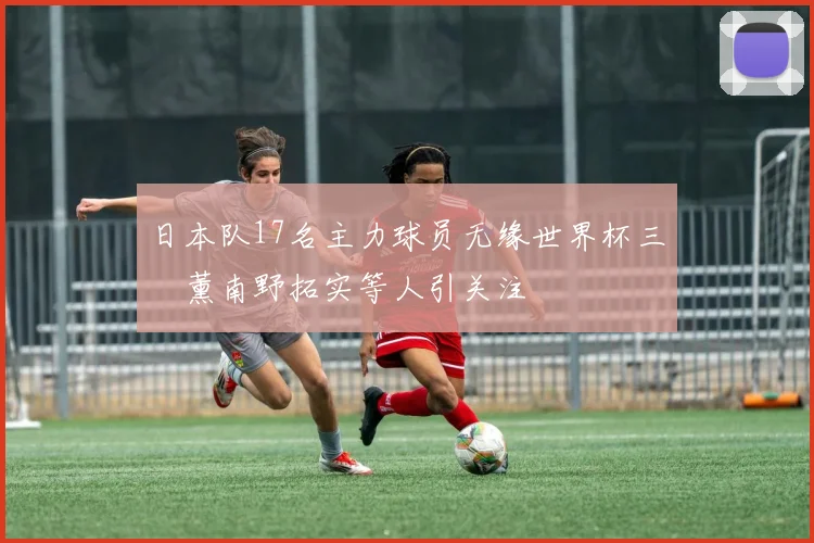 日本队17名主力球员无缘世界杯三笘薰南野拓实等人引关注