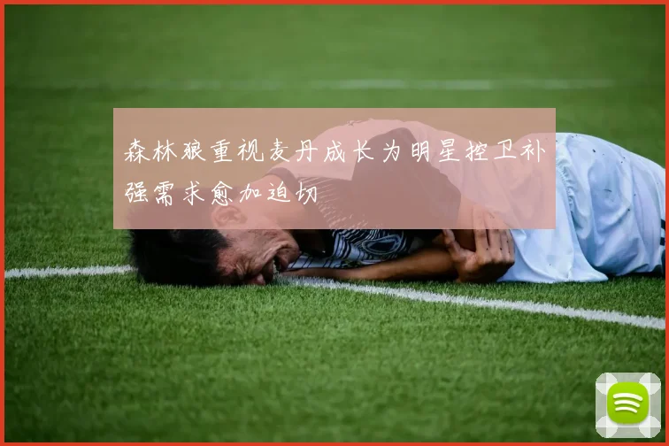 森林狼重视麦丹成长为明星控卫补强需求愈加迫切
