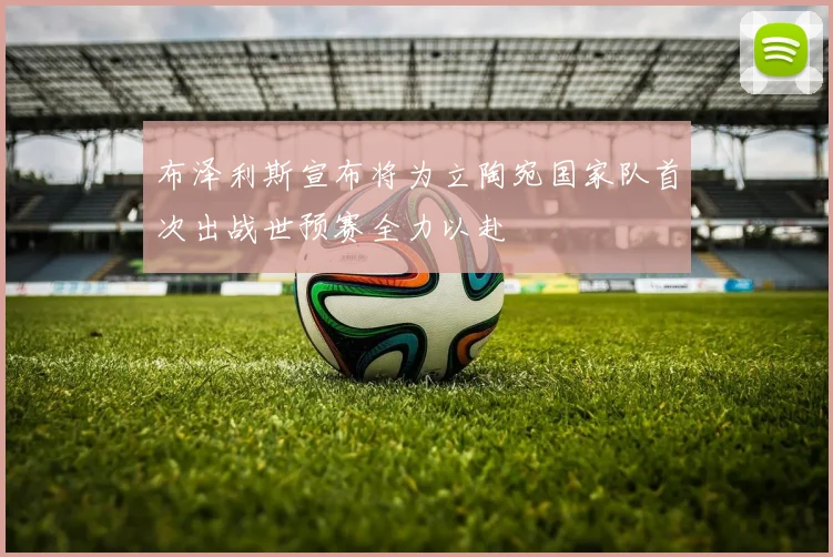 布泽利斯宣布将为立陶宛国家队首次出战世预赛全力以赴